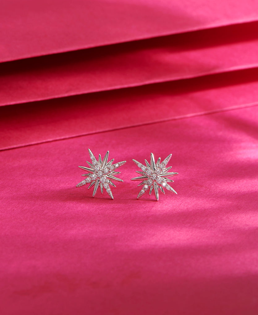 Frosted Twilight Silver Earring